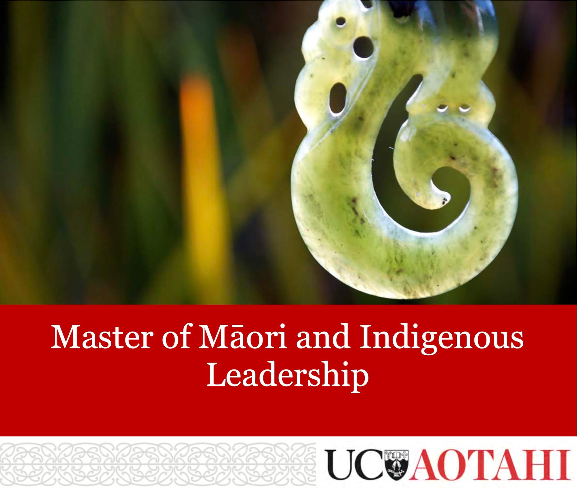 Master of Māori and Indigenous Leadership information hui