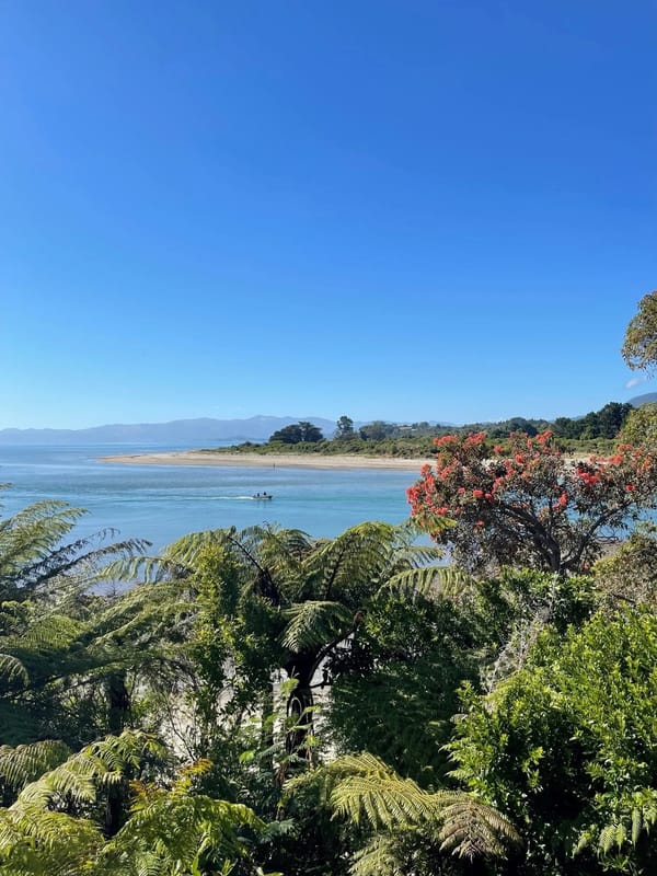 Hauora Matua ki Te Tai Aorere Board  member vacancy