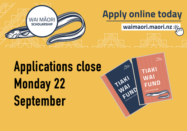 Wai Māori Scholarship