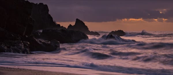 Pānui: Kotahitanga mō Te Taiao Alliance